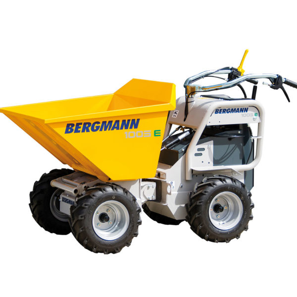 Bergmann-1005E